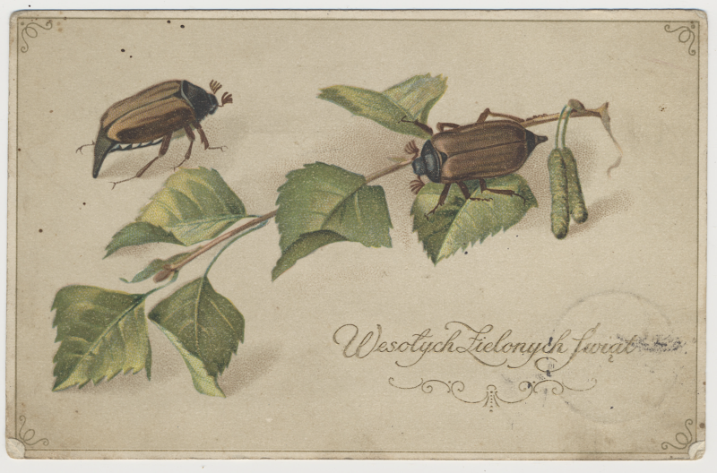 Na szarym tle na przekątnej pocztówki leży brzozowa gałązka z liśćmi, a na niej dwa chrząszcze. Poniżej w prawym dolnym rogu ozdobny napis „Wesołych Zielonych Świąt”