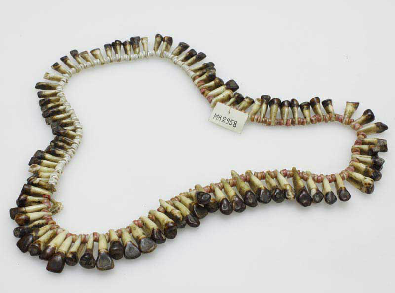 Naszyjnik z zębów ludzkich z zabarwionymi na czarno koronami. Zęby nawleczone na sznur, poprzedzielane 3-4 białymi lub różowymi koralikami wykonanymi z muszli.
