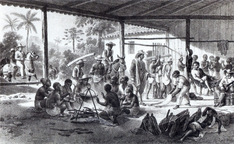 Niedawno kupieni niewolnicy zmierzający do posiadłości ziemskich swych właścicieli (Brazylia), grafika na podstawie obrazu Johanna Moritza Rugendasa, 1830 r.