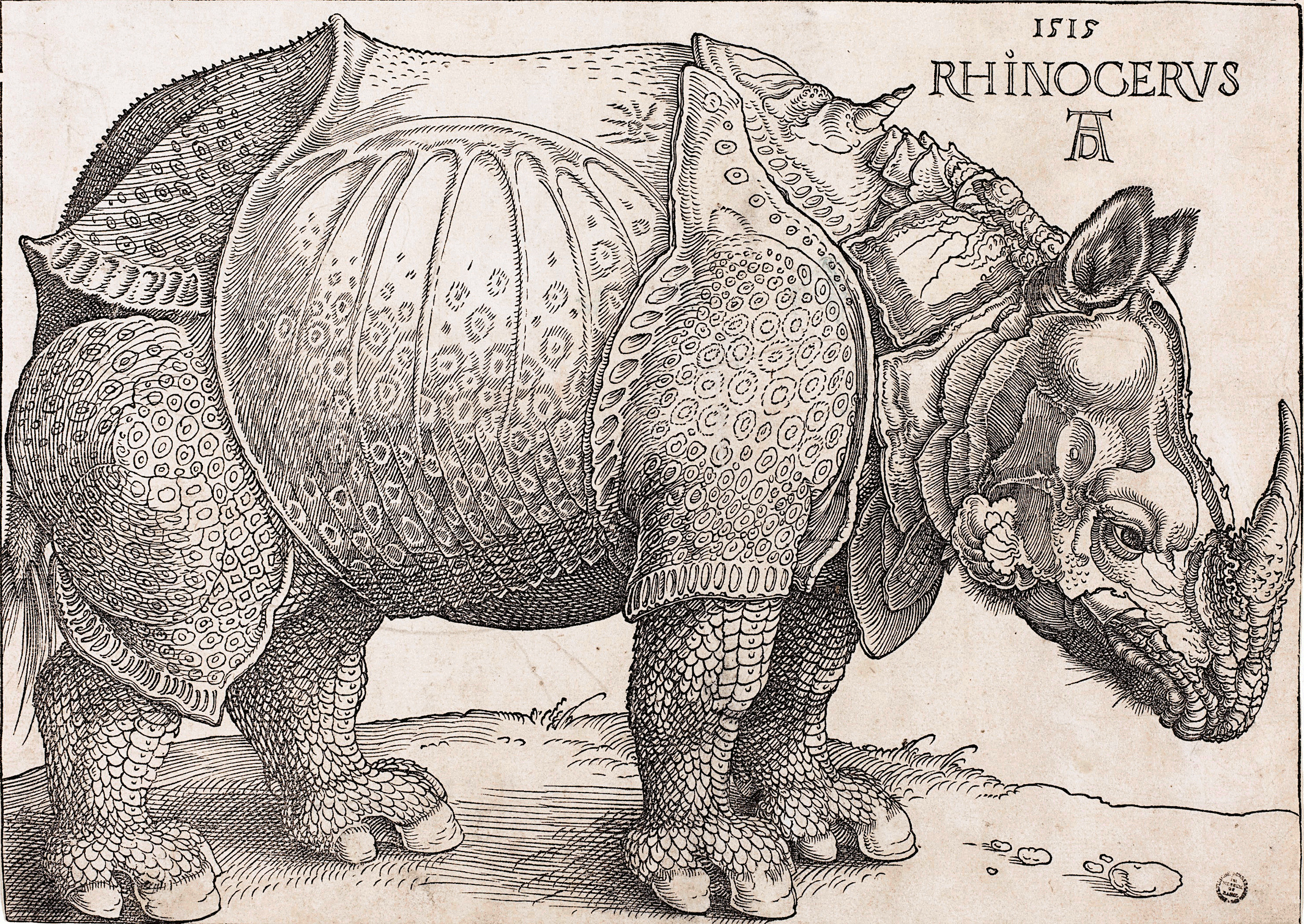Nosorożec na drzeworycie Albrechta Dürera, 1515 r. (ze zbiorów National Gallery of Art w Waszyngtonie, nr inw. 1964.8.697)