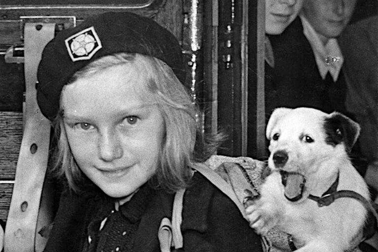 Czy w Wielkiej Brytanii doszło w 1939 r. do zwierzęcego „holocaustu”?